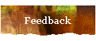 Feedback