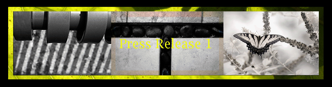 Press Release 1